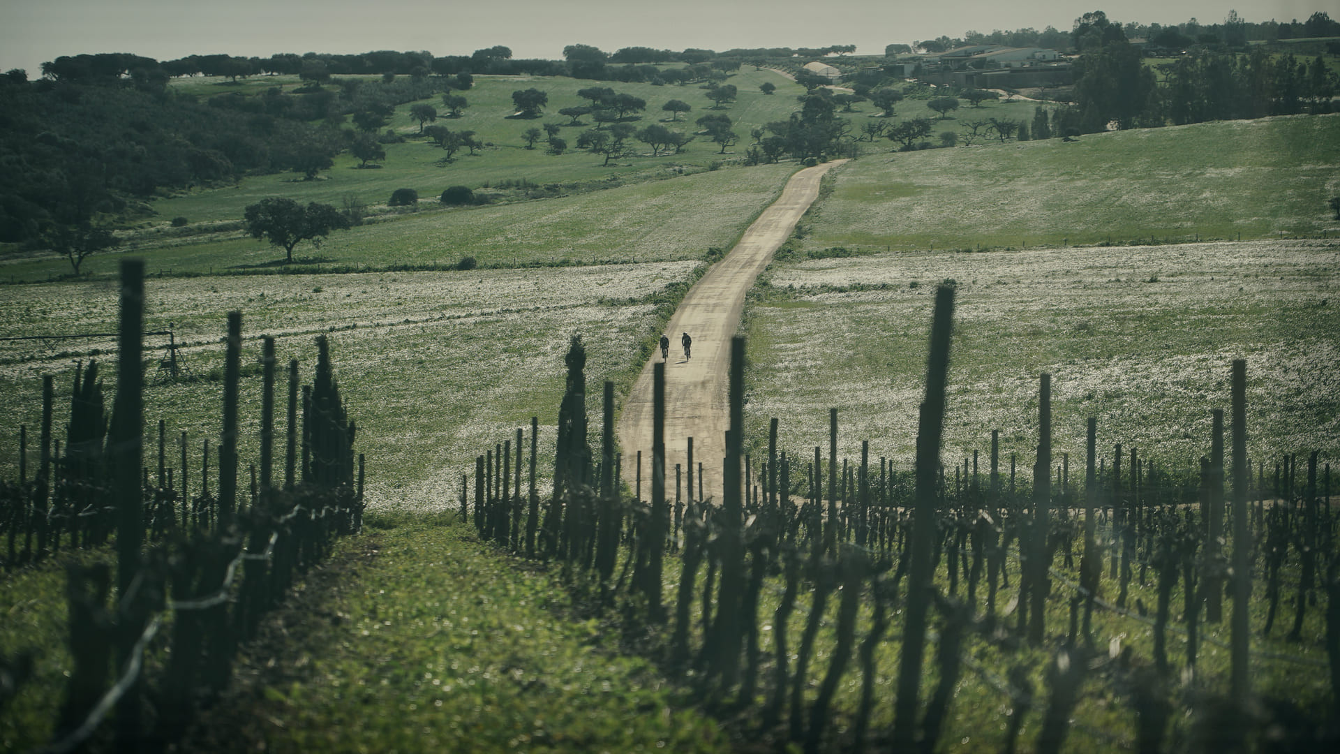 Gravel bike tour in Portugal - Ride by compact gravel trails in the Guadiana Natural park