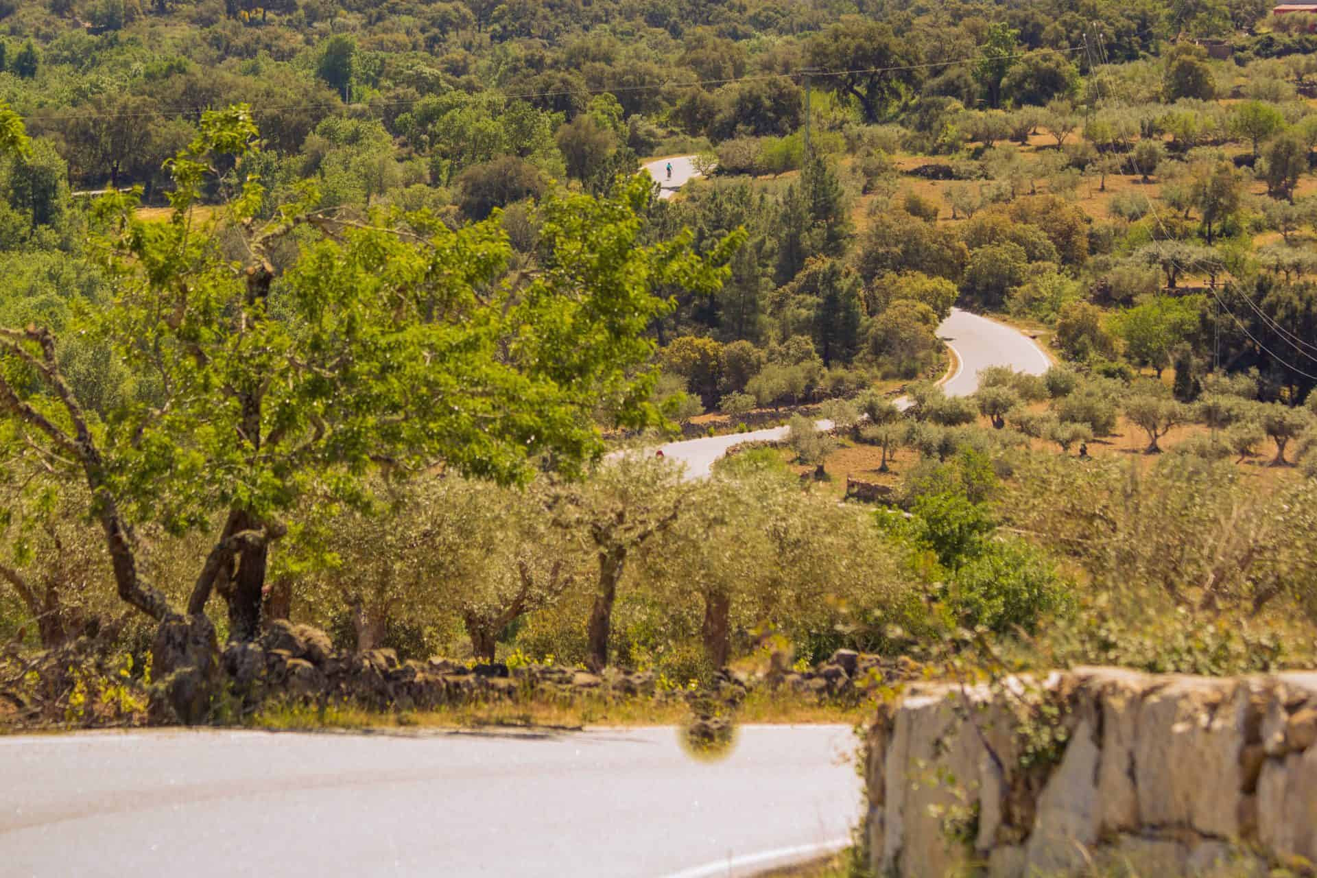Bike Tour in Alentejo - Heritage and Wine Country Bike Tour in Alentejo - Heritage and Wine Country