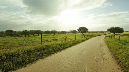 Alentejo 1 Opt