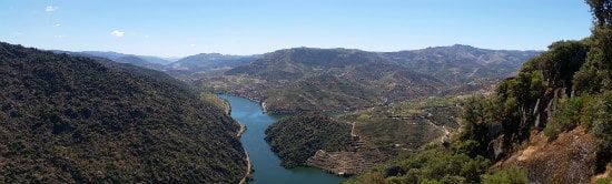 Tonypanorama (1)