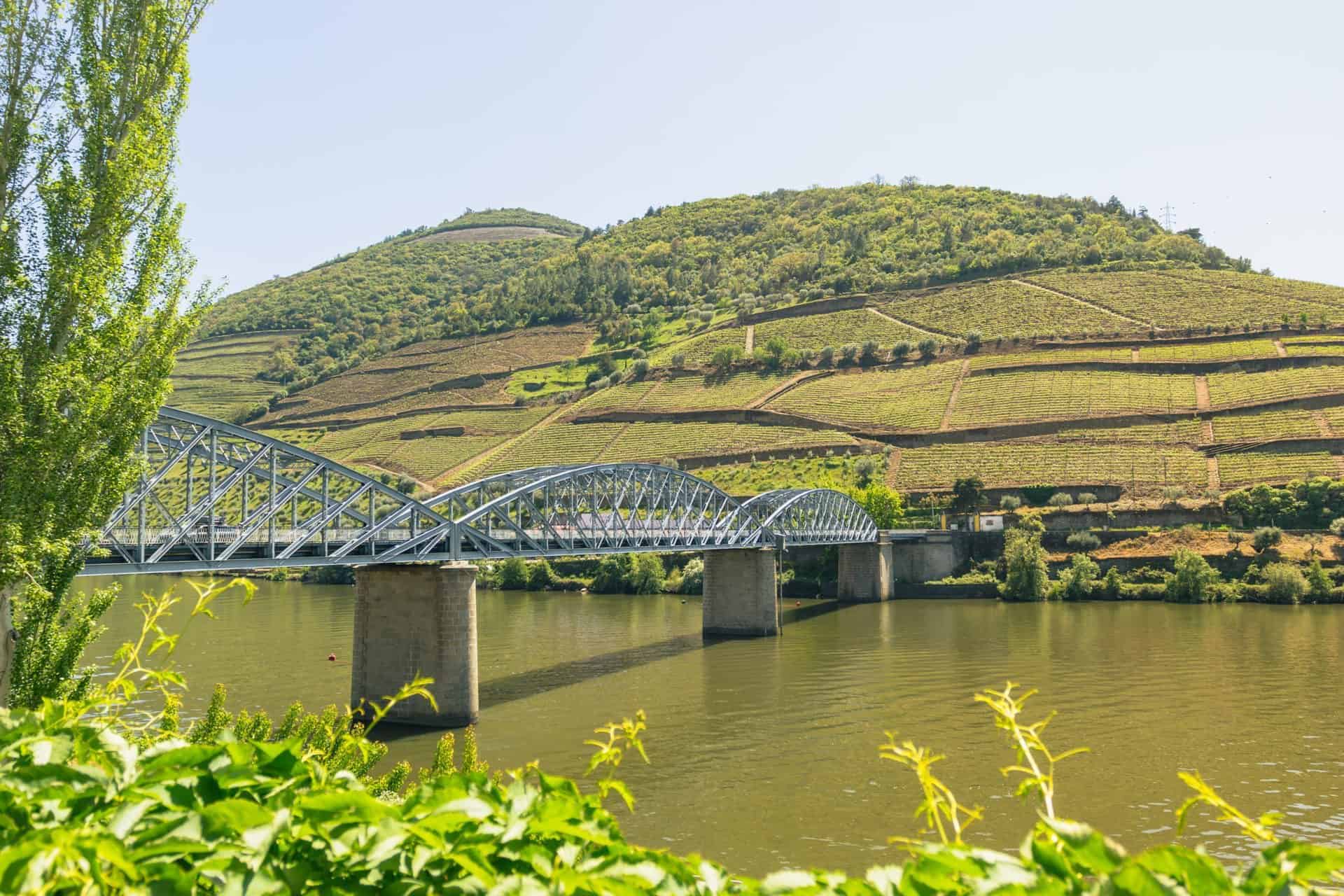 Touring Douro wine country