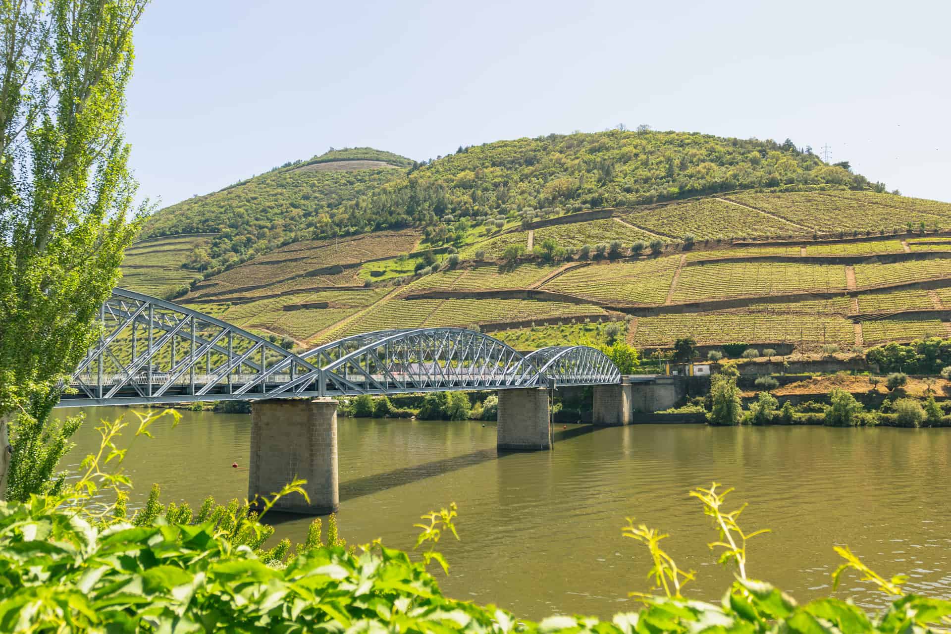 Touring Douro wine country