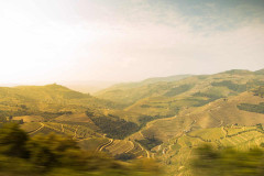 Bike Tour by the Douro River - Wine Country and International Park - copy