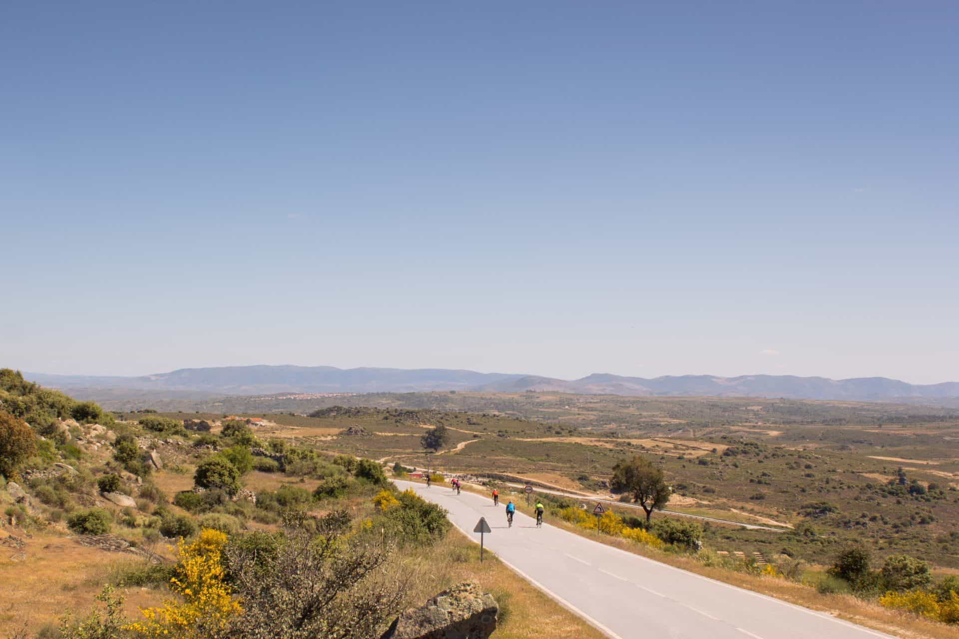 Bike Tour by the Douro River - Wine Country and International Park