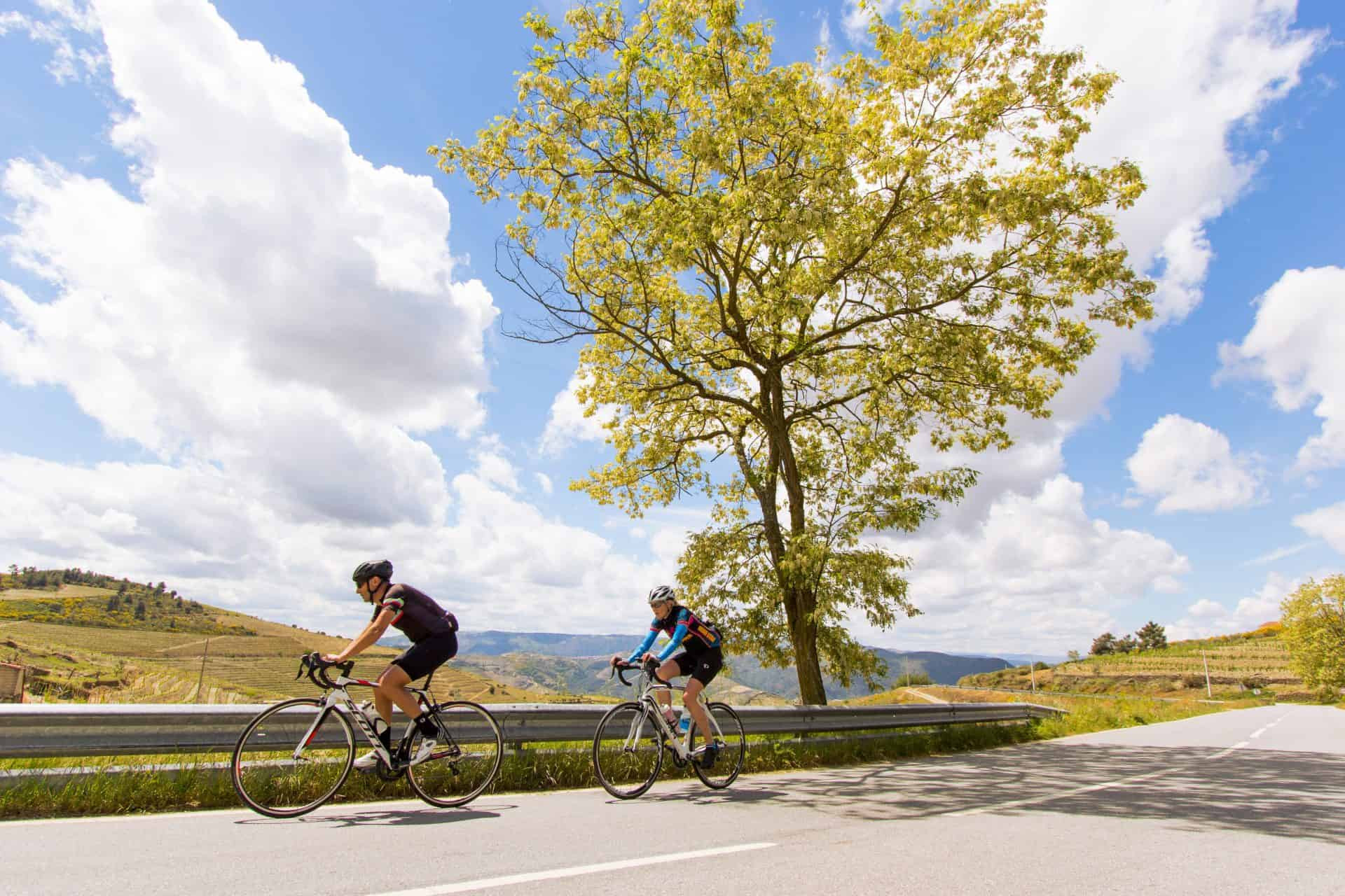 Bike Tour by the Douro River - Wine Country and International Park