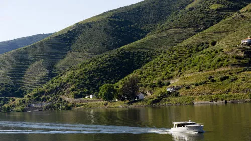 Feel Douro Boat Ride