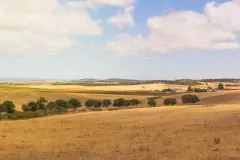 Bike Tour in Alentejo - Heritage and Wine Country - copy