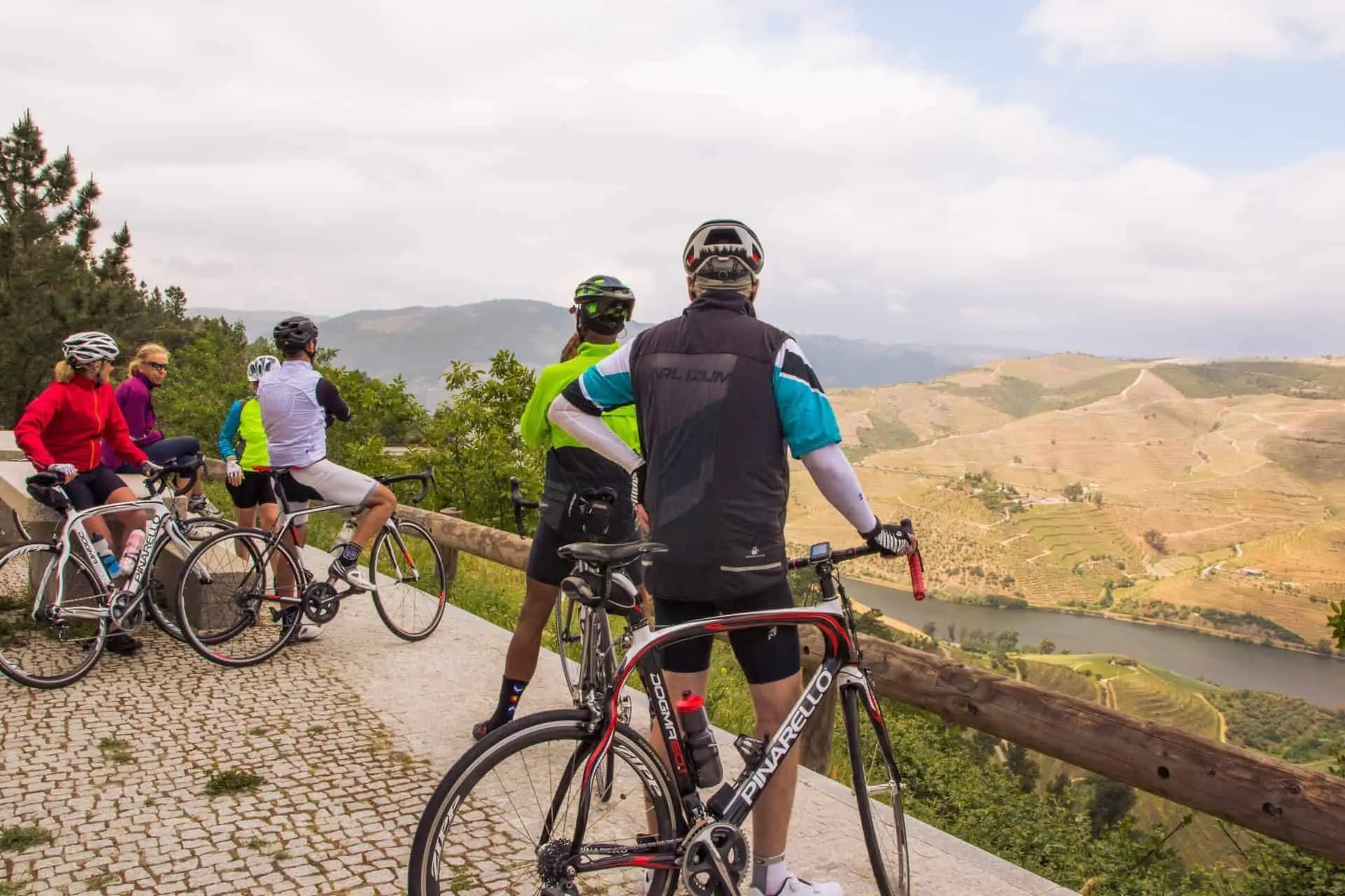Bike Tour by the Douro River - Wine Country and International Park