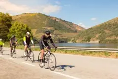 Full Day Bike Tour in Douro Valley