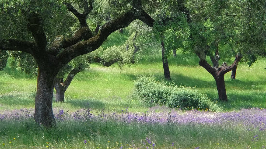 cycling in Alentejo