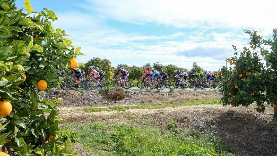 Cycling in the Algarve