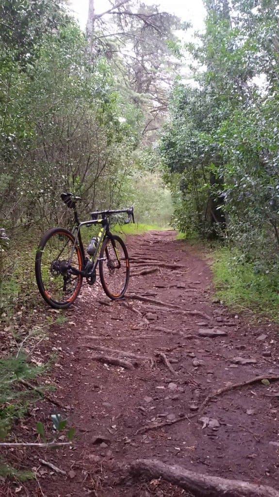 26540803 10155693258040041 1349939471 O