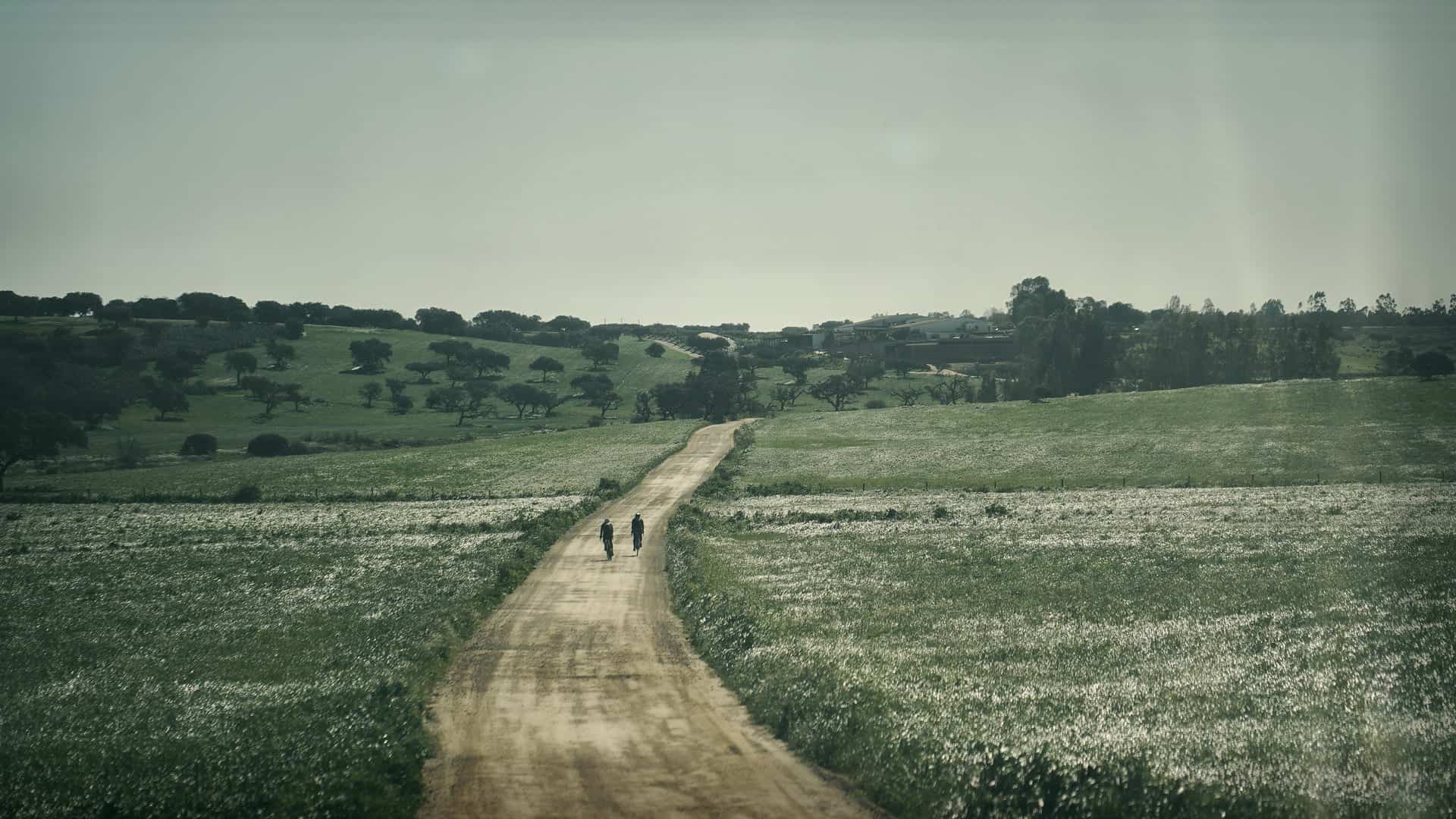 gravel bike tour in portugal cycling in alentejo exploring the montado ecosystem