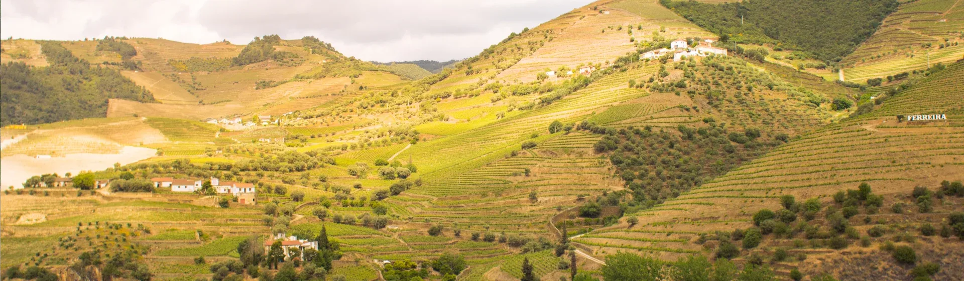 douro bike tours