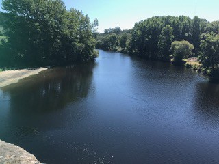 E6ab87e5 Ab03 4062 Bc96 768af848455a