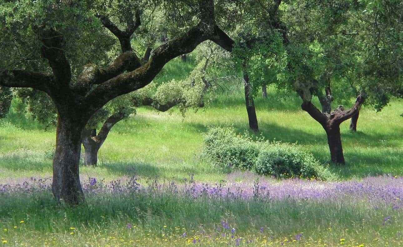 fahrradtour radreise portugal radfahren alentejo