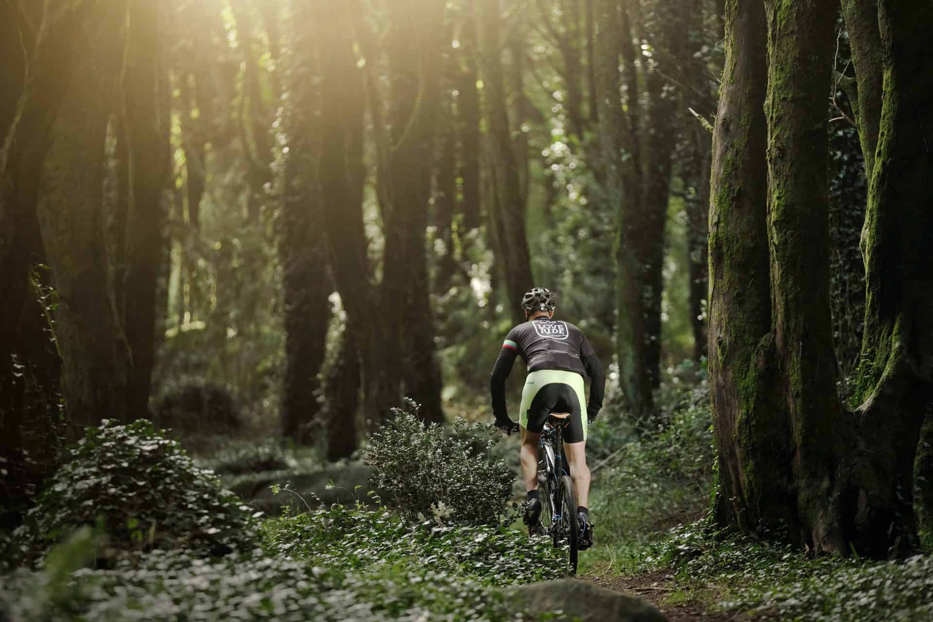 mountain biking portugal sintra trails magical forest