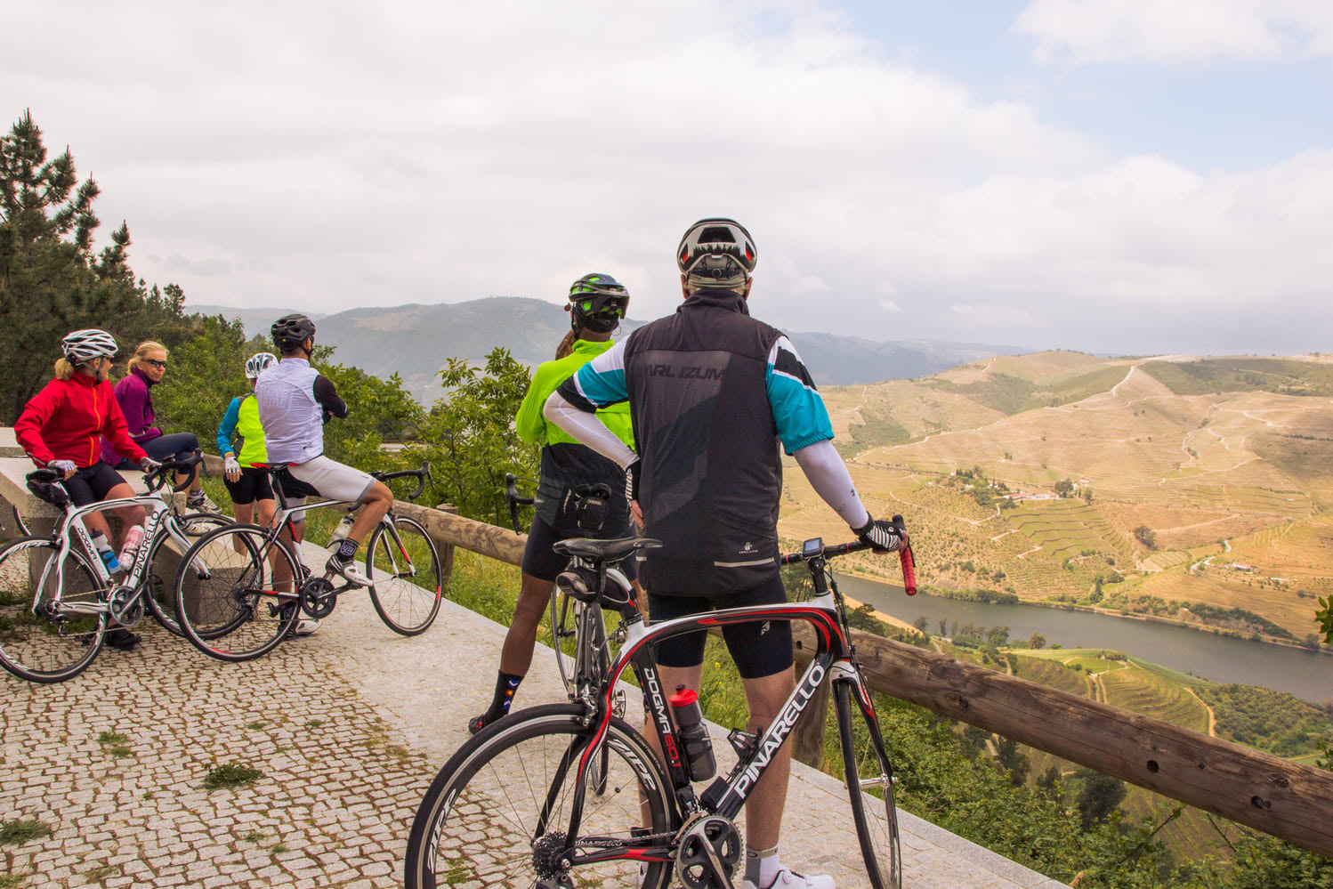 Douro river wine country and international park guided tour
