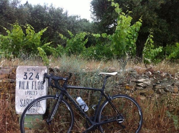 Optimized Fotografia 11