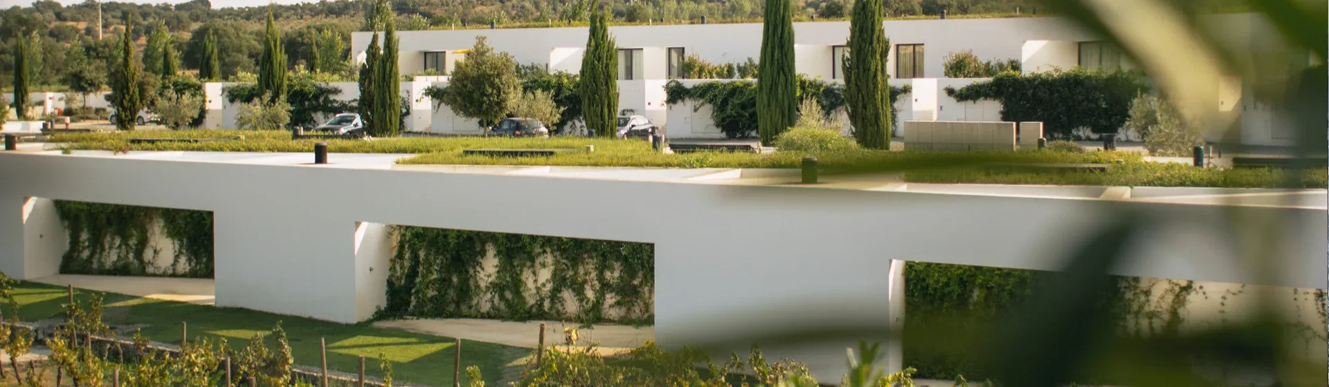 premium bike tours in portugal