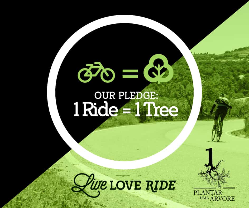 r digital 2019 tours 20 copy 10@2x 1001