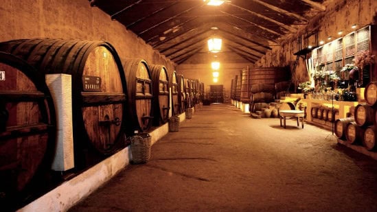 Radfahren Douro Region Bereiten Sie Ihre Radtour Vor