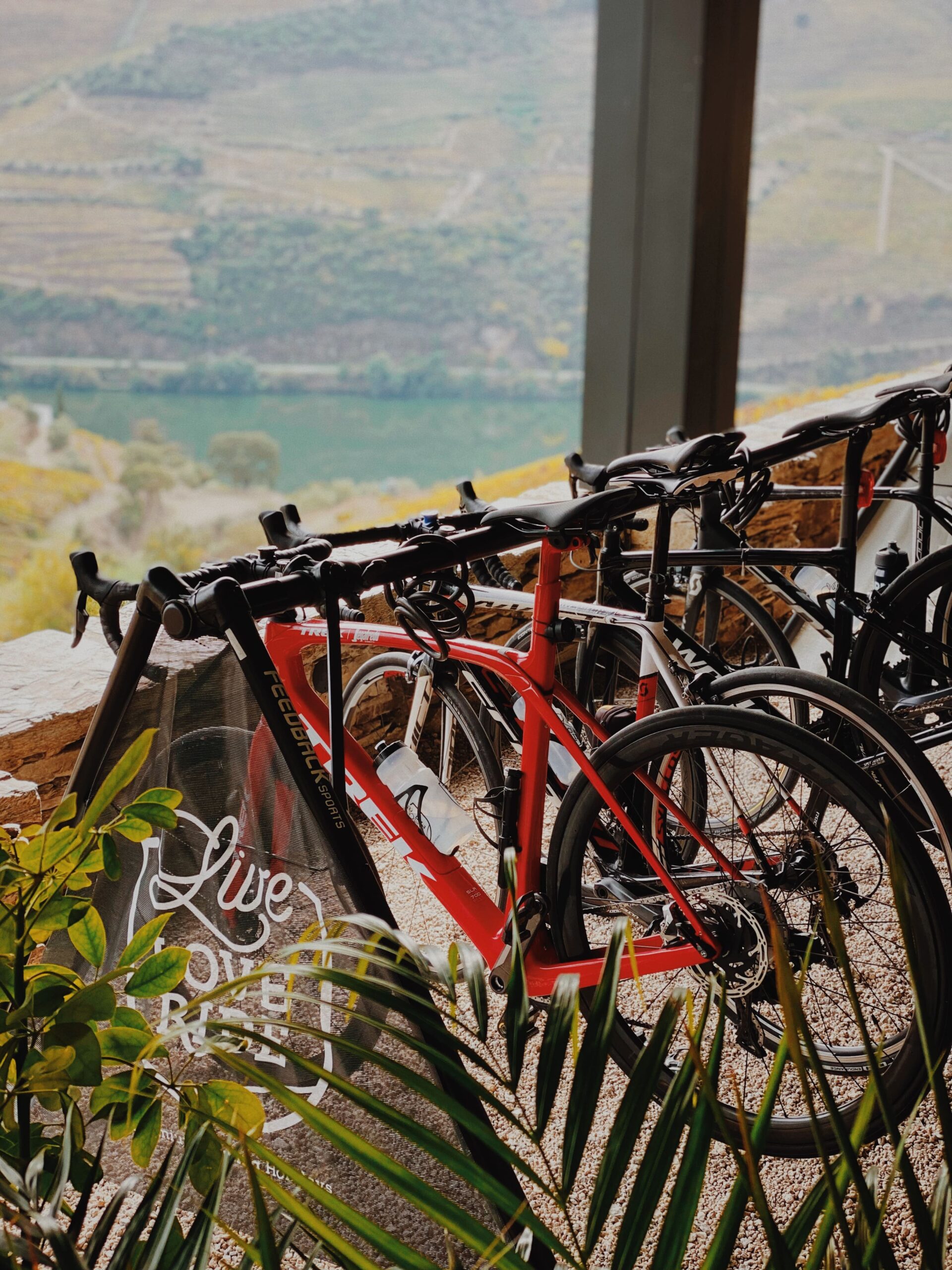 different levels for cycling tours in portugal