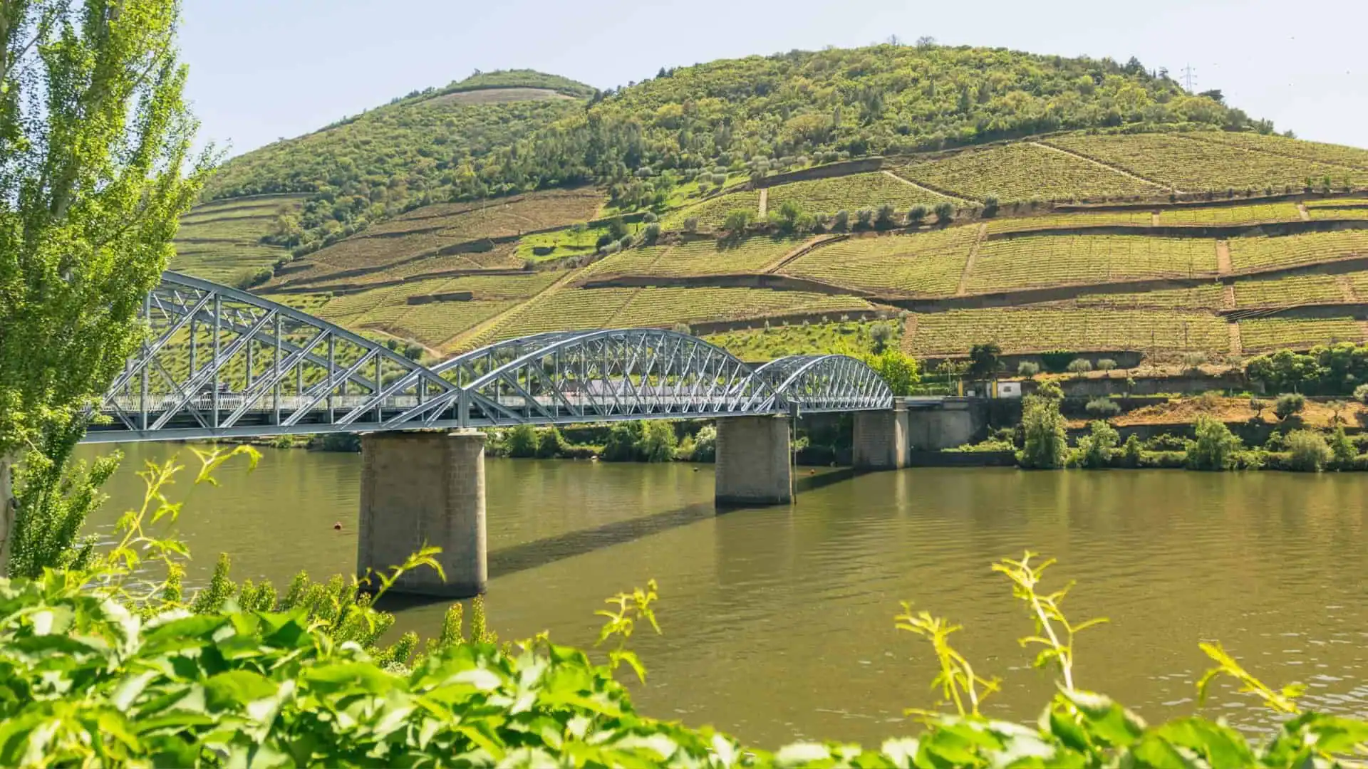 douro cycling retreat a 3 day bike tour in the heart of the wine country