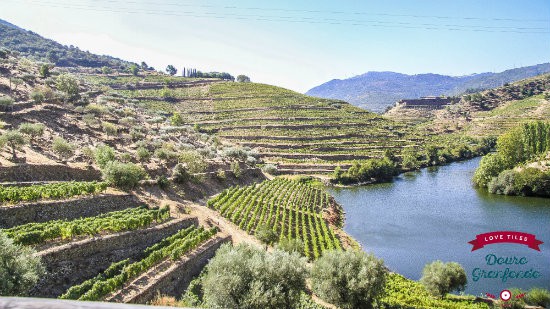 Douro Granfondo Socalcos