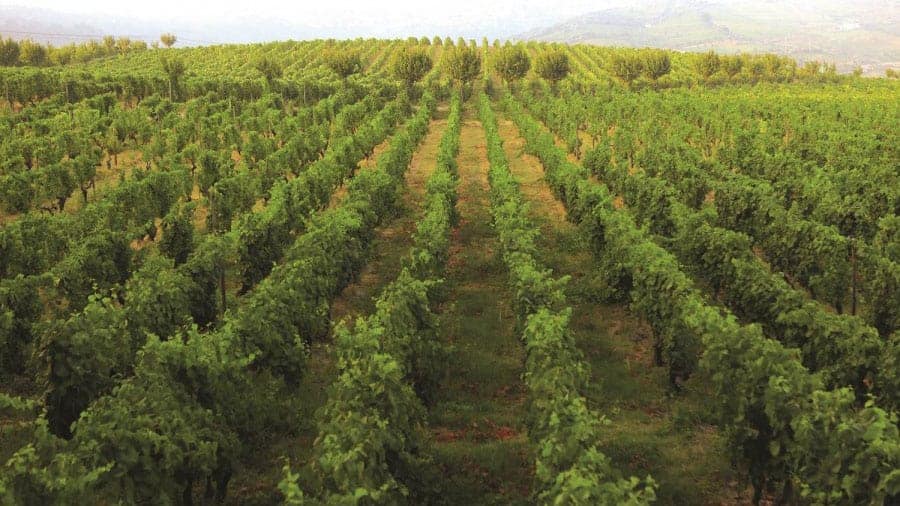 e7446a6a9e38e8d80e390dab23127c61ecfd210820151102102006