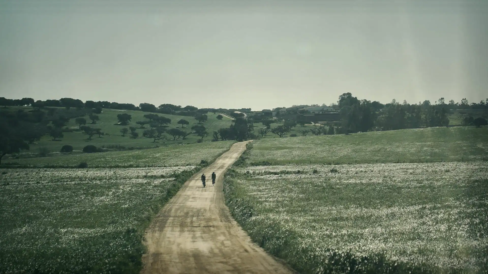 gravel bike tour in algarve from natural parks to coastal bliss