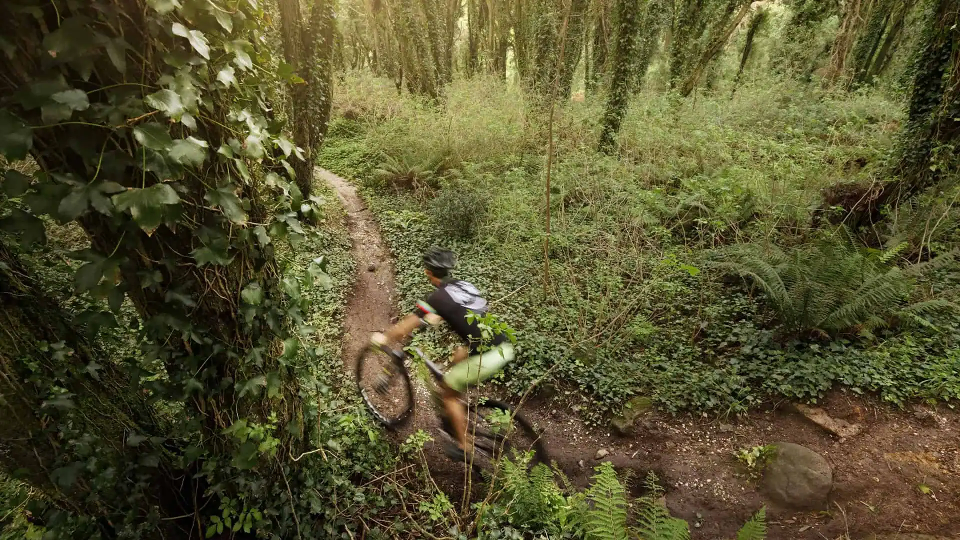 mountain bike tour lisbon