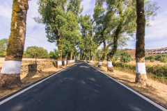 Bike Tour in Alentejo - Heritage and Wine Country - copy