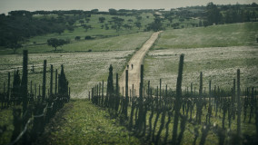 Gravel bike tour in Portugal - Ride by compact gravel trails in the Guadiana Natural park