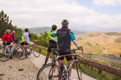 Bike Tour by the Douro River - Wine Country and International Park - copy