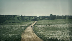 Gravel bike tour in Portugal - cycling in Alentejo exploring the Montado ecosystem