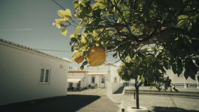 Orange tree algarve bike tours