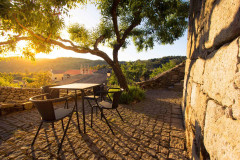 Bike Tour by the Douro River - Wine Country and International Park - copy