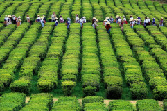 Bike Tour in Azores - Cycling Holidays in São Miguel - copy