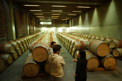 E-bike tour in the Portuguese Silver Coast: Palaces, Vineyards, and Coastal Charm