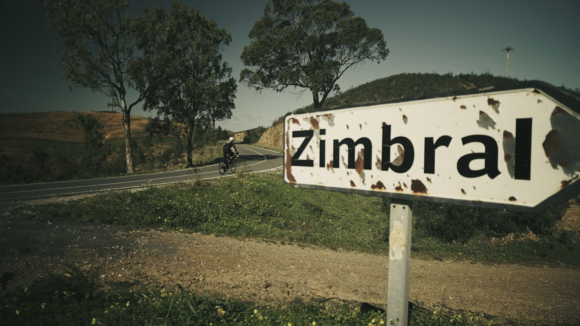 Road cyclist in our Algarve bike tour