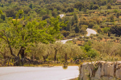 Bike Tour in Alentejo - Heritage and Wine Country - copy - copy