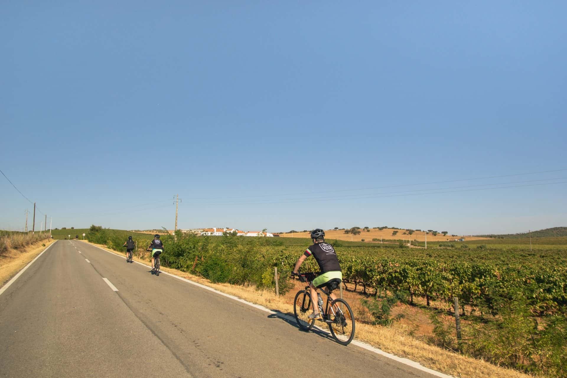 Bike Tour to Évora, from Lisbon