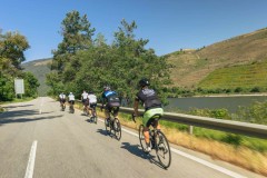 Full Day Bike Tour in Douro Valley - 06