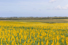 Bike Tour in the Southwest Coast - Alentejo and Algarve - copy - copy