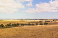 Bike Tour in Alentejo - Heritage and Wine Country - copy