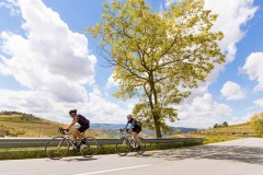 Bike Tour by the Douro River - Wine Country and International Park - copy - copy