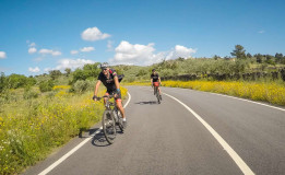 Touring Douro Wine Country - copy - copy