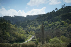 E-bike tour in the Portuguese Silver Coast: Palaces, Vineyards, and Coastal Charm